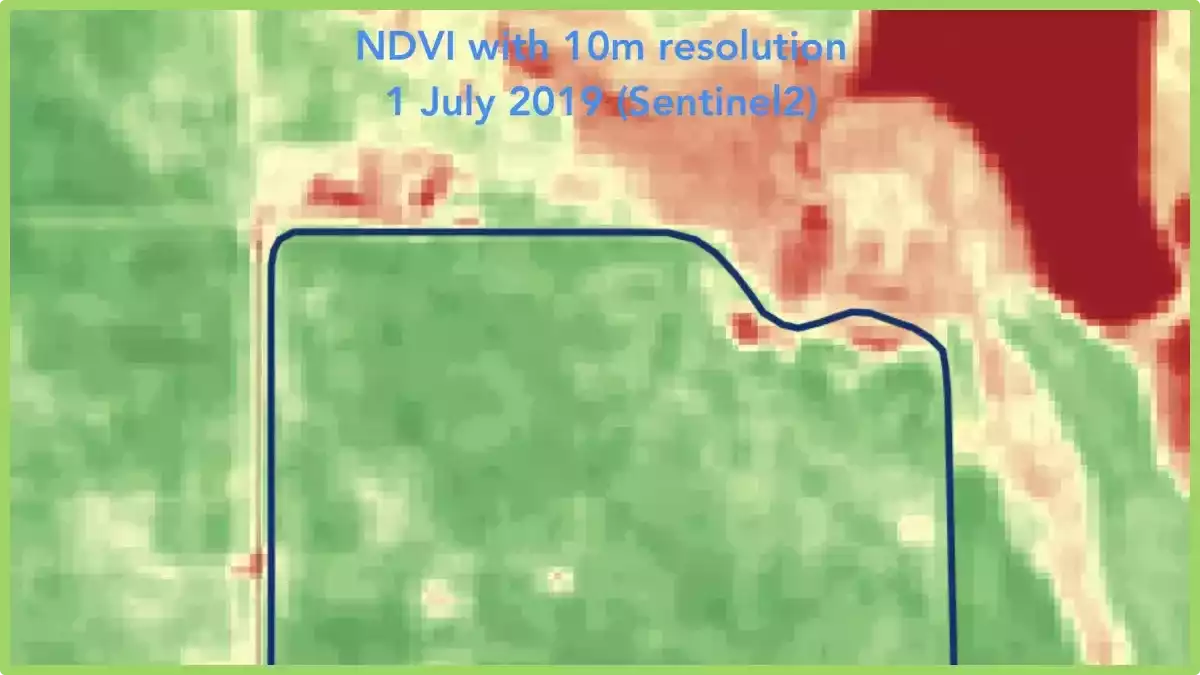NDVI with Satellite imagery 10m resolution