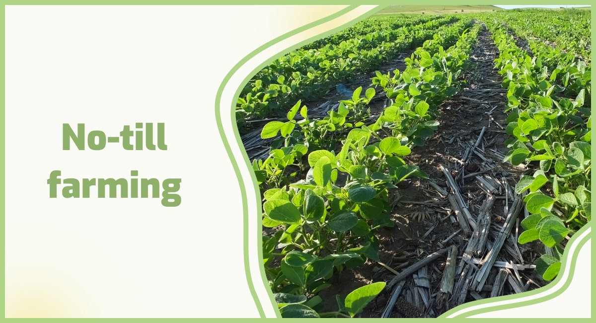 No-till farming: benefits and methods 🍀