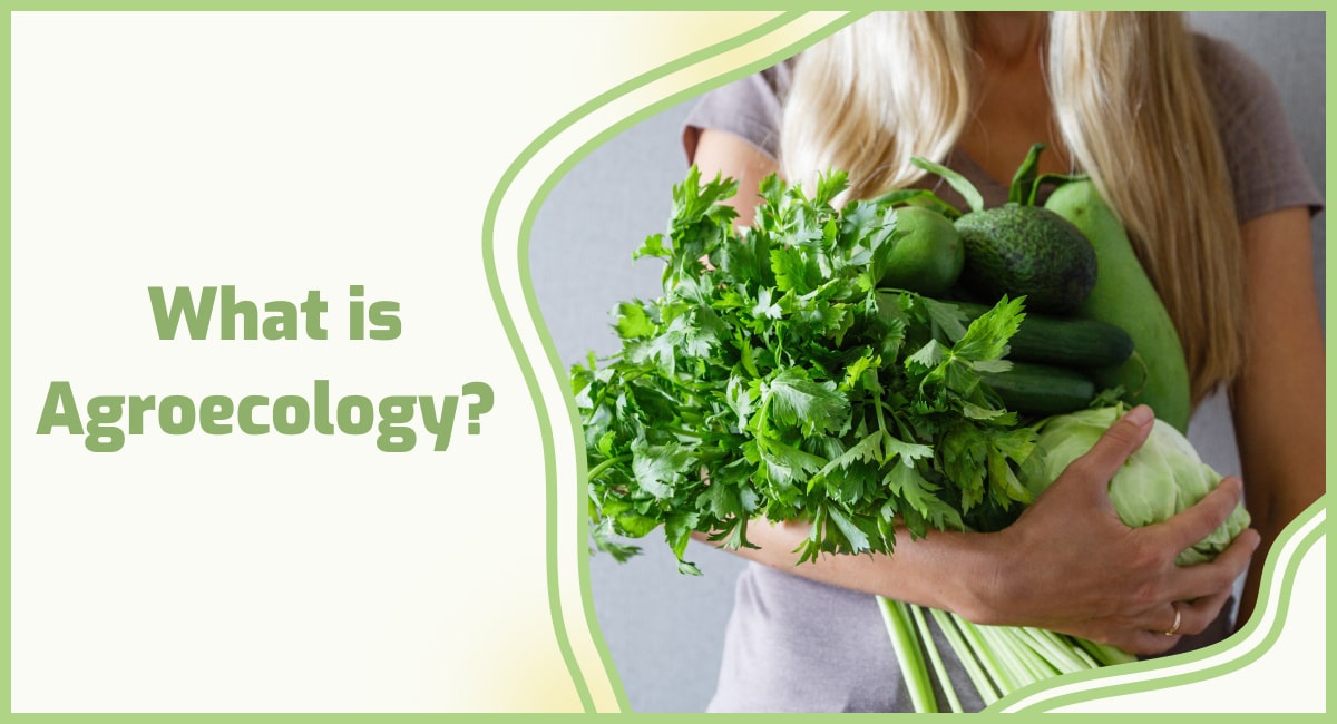 What is agroecological farming? agroecology