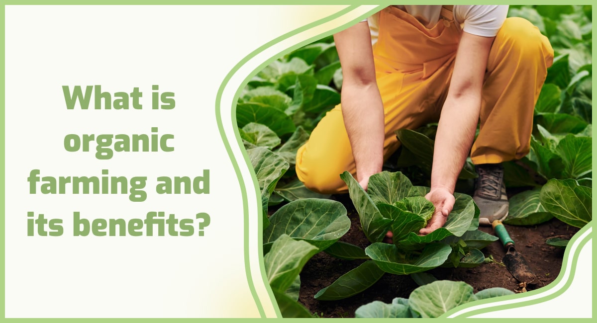 Organic farming and its benefits