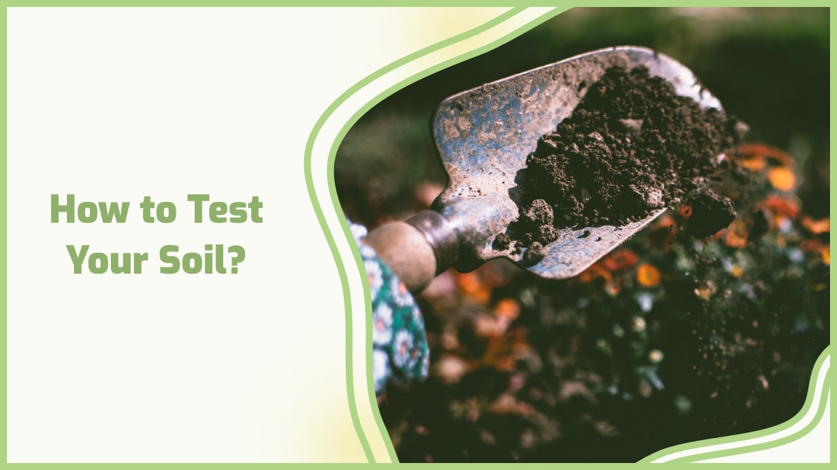 What is the process of soil testing?