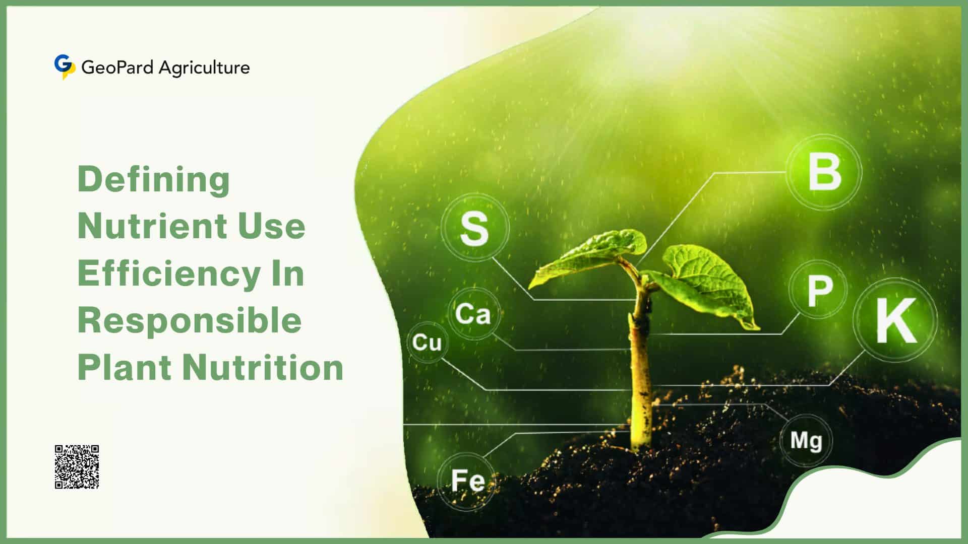 Defining Nutrient Use Efficiency In Responsible Plant Nutrition