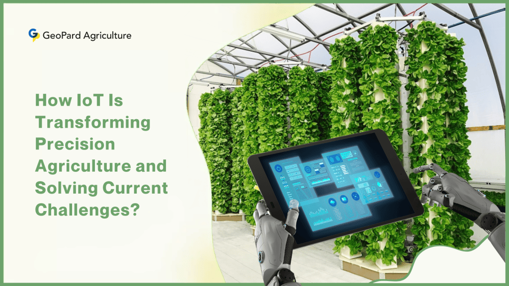 How IoT Is Transforming Precision Agriculture and Solving Current ...