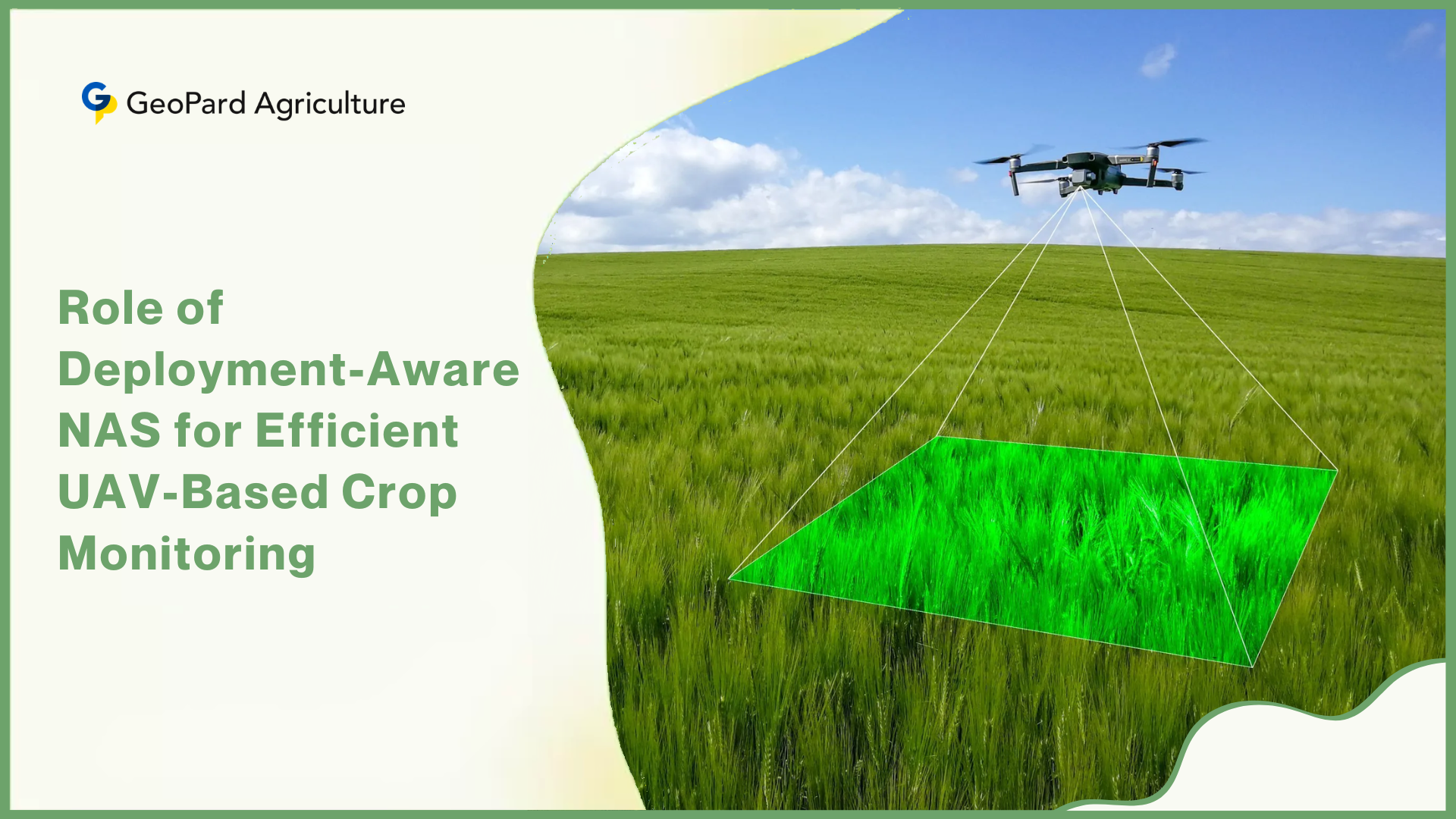 Role of Deployment-Aware NAS for Efficient UAV-Based Crop Monitoring