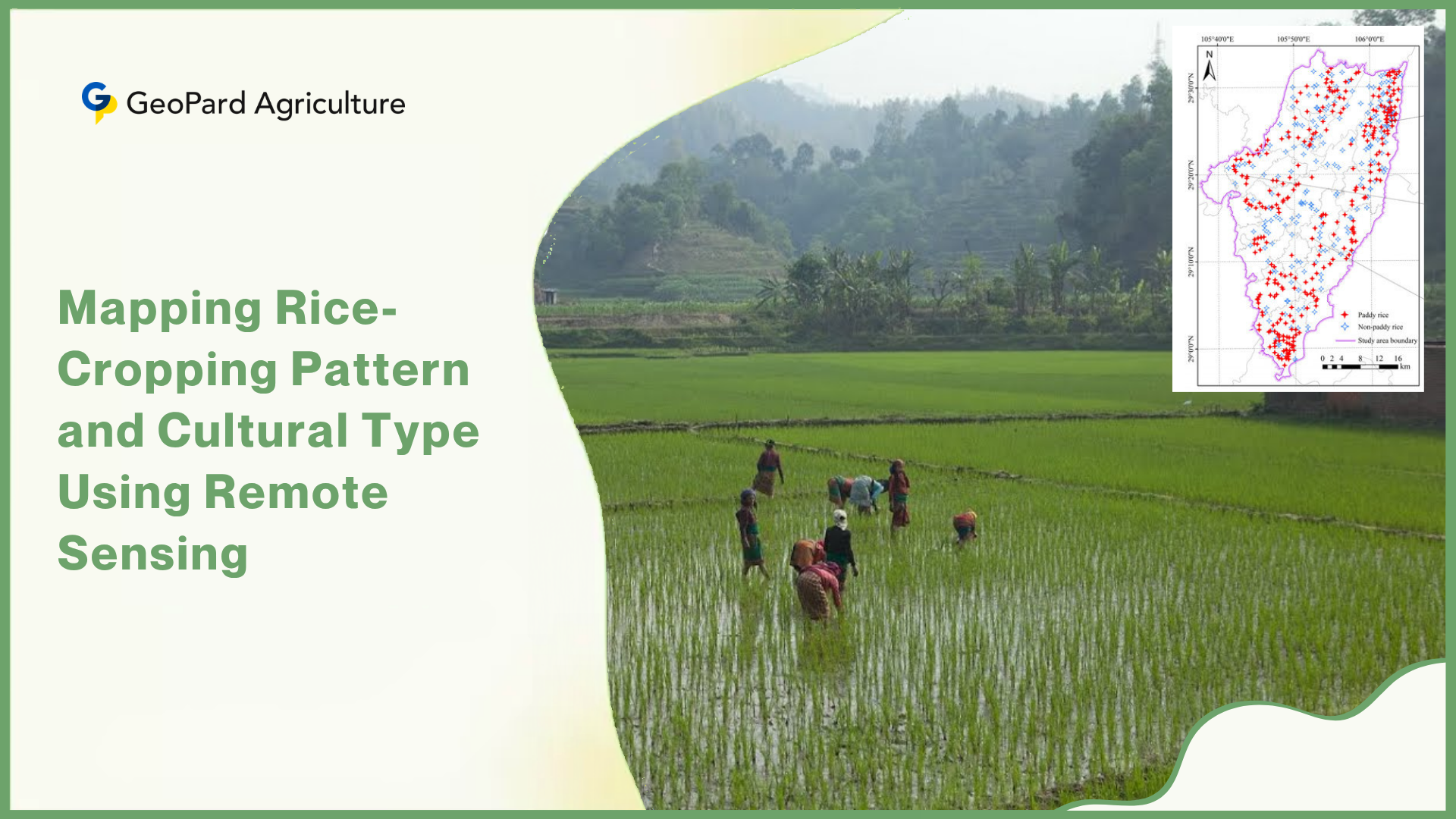 Mapping Rice-Cropping Pattern and Cultural Type Using Remote Sensing